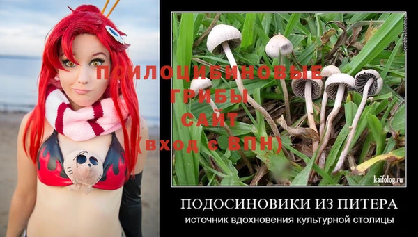 a pvp Алексин