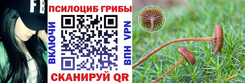 Псилоцибиновые грибы мицелий Благовещенск