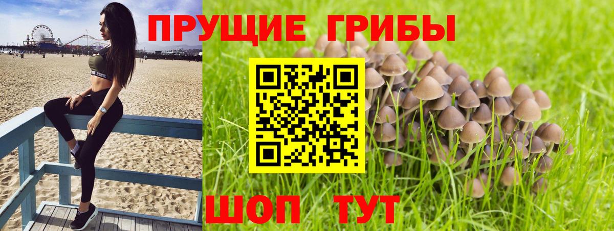 Галлюциногенные грибы Cubensis  Вход с VPN  Благовещенск 